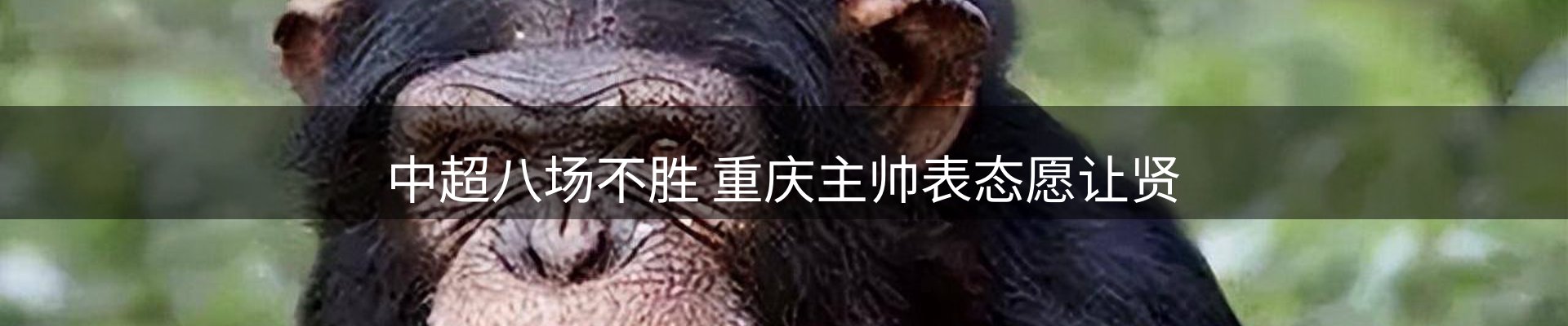 品牌资讯