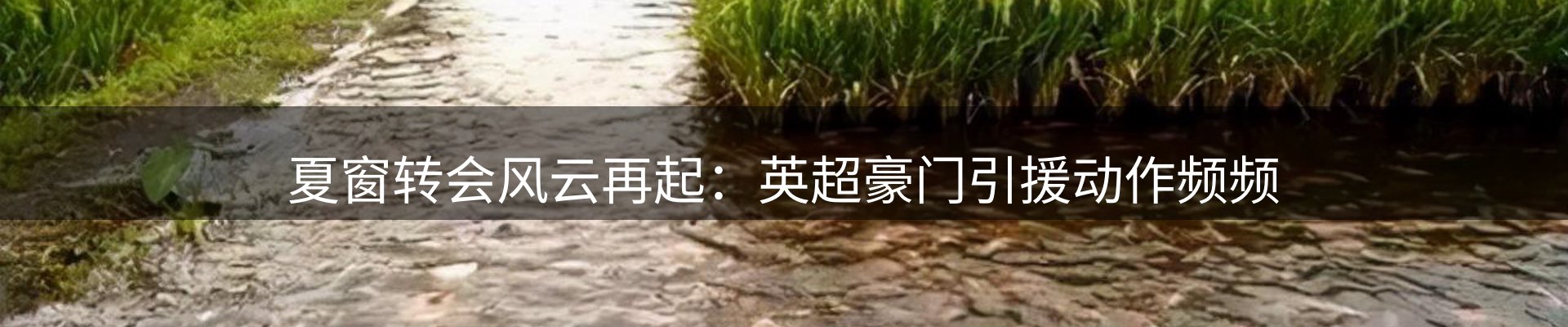 品牌资讯