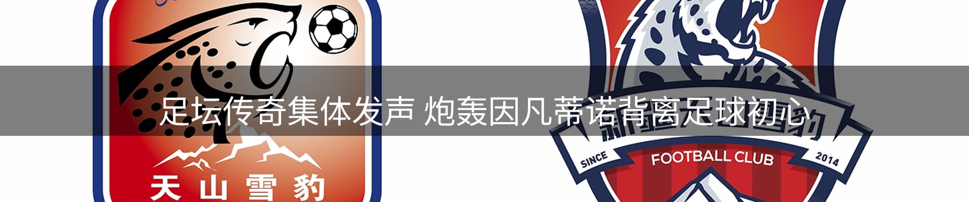 品牌资讯